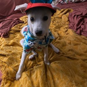 Meet your Posher, Sally